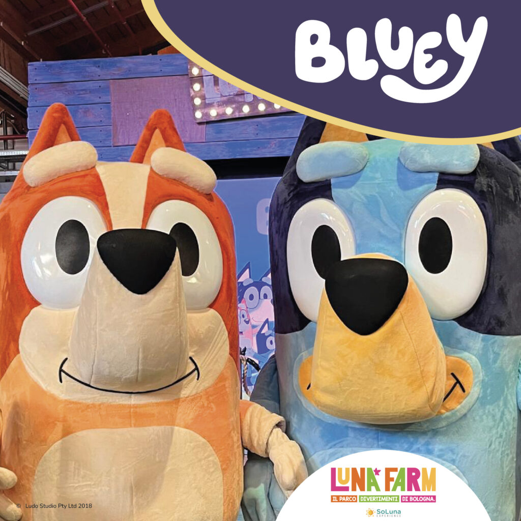 bluey show