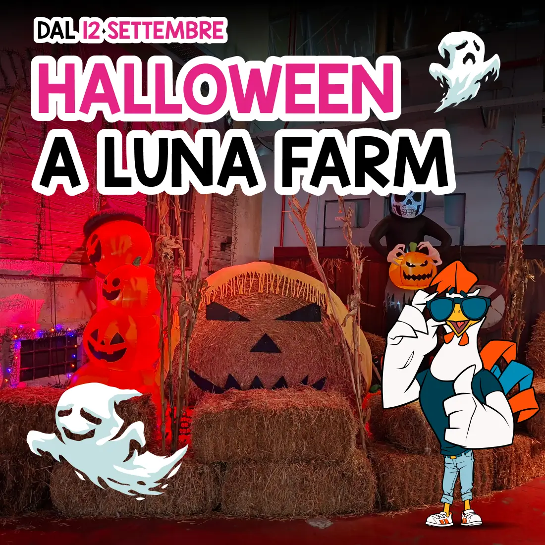 Zucche decorate e allestimento a tema Halloween al parco divertimenti per bambini Luna Farm di Bologna.