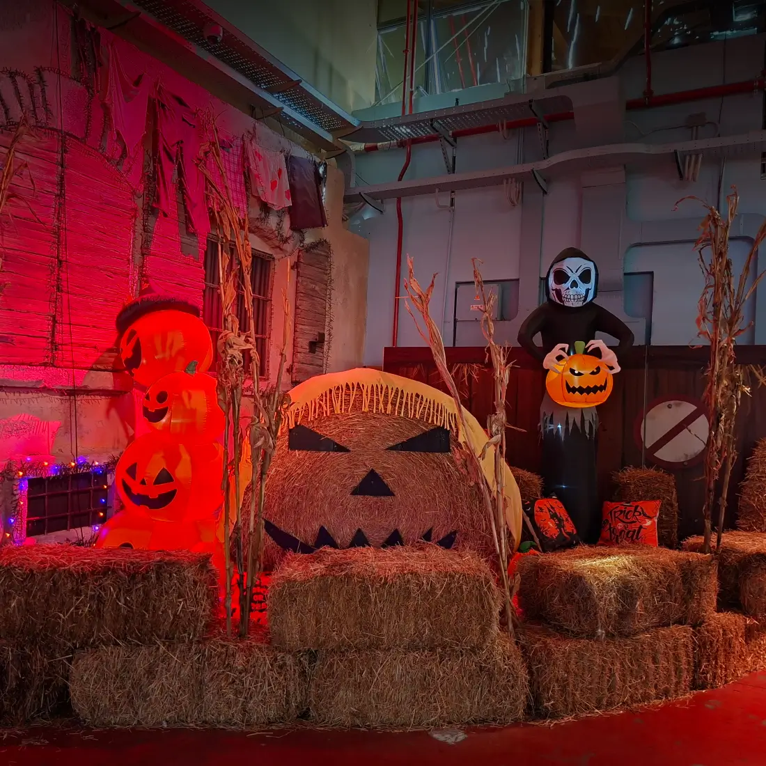 Halloween a Luna Farm - Allestimento con zucche per bambini Zucche decorate e allestimento a tema Halloween al parco divertimenti per bambini Luna Farm di Bologna.